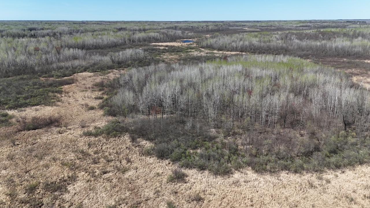 Tbd County Road 6 Property Photo 1