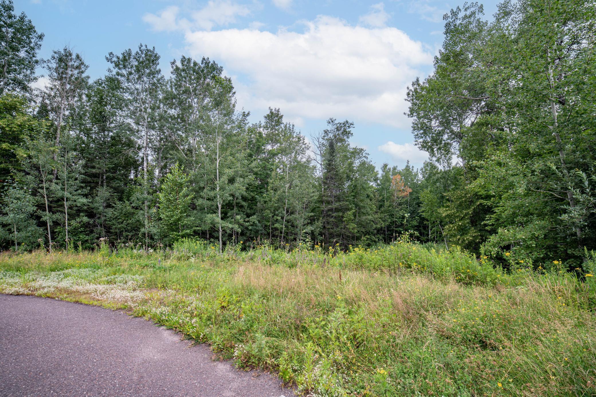 45xx - Lot B1 Norway Pines Pl Property Photo 7