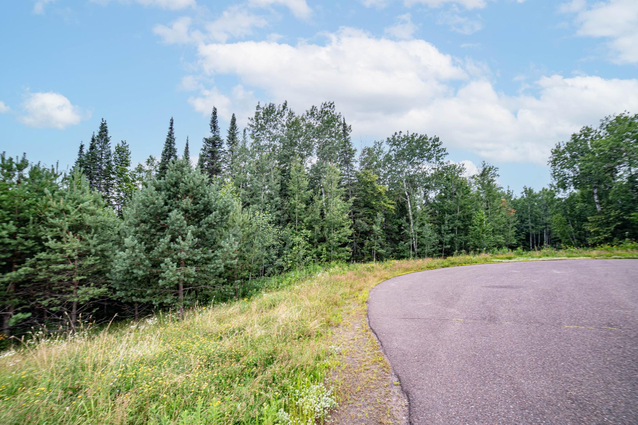 45xx - Lot B1 Norway Pines Pl Property Photo 10