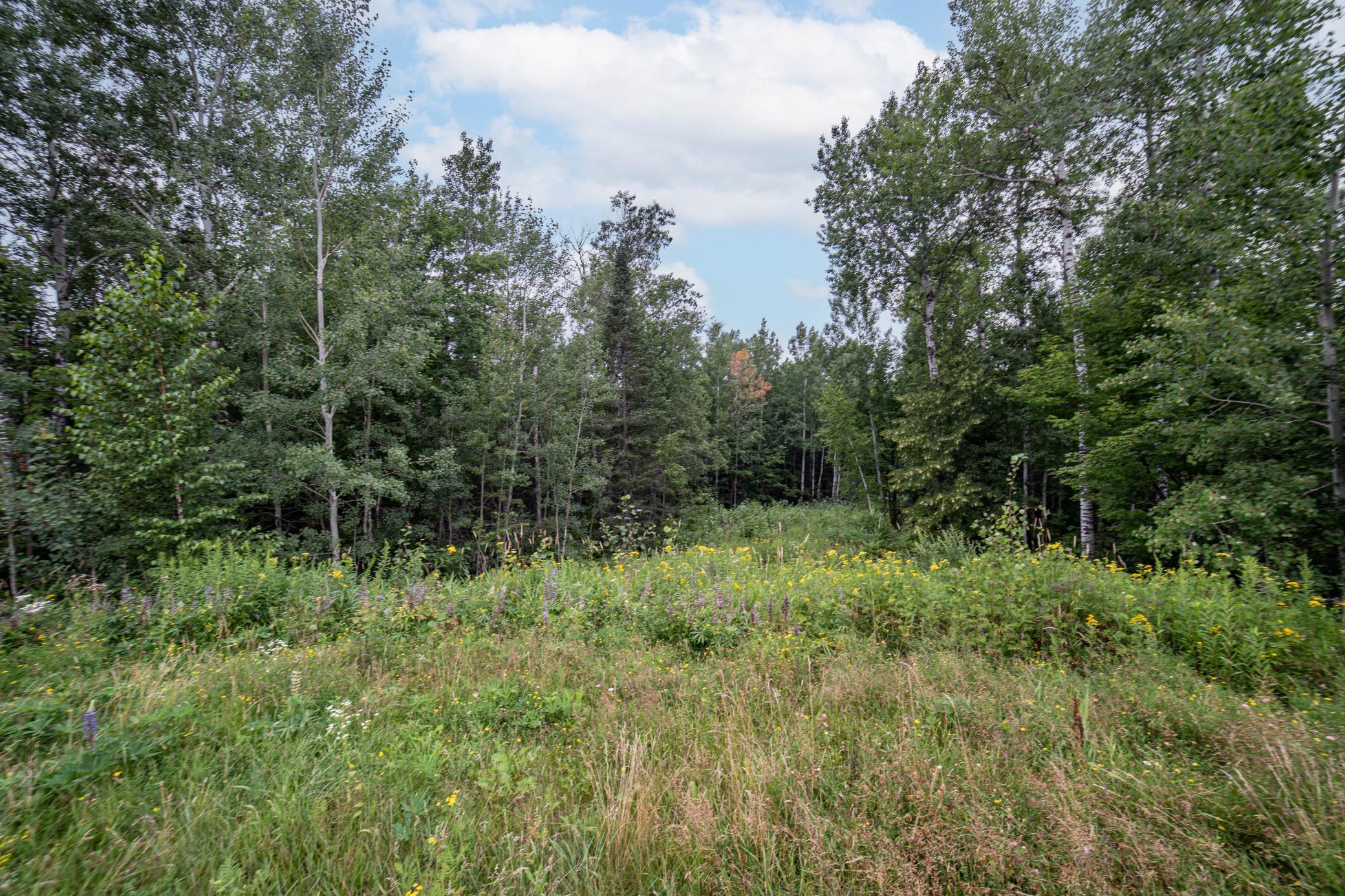 45xx - Lot B2 Norway Pines Pl Property Photo 8