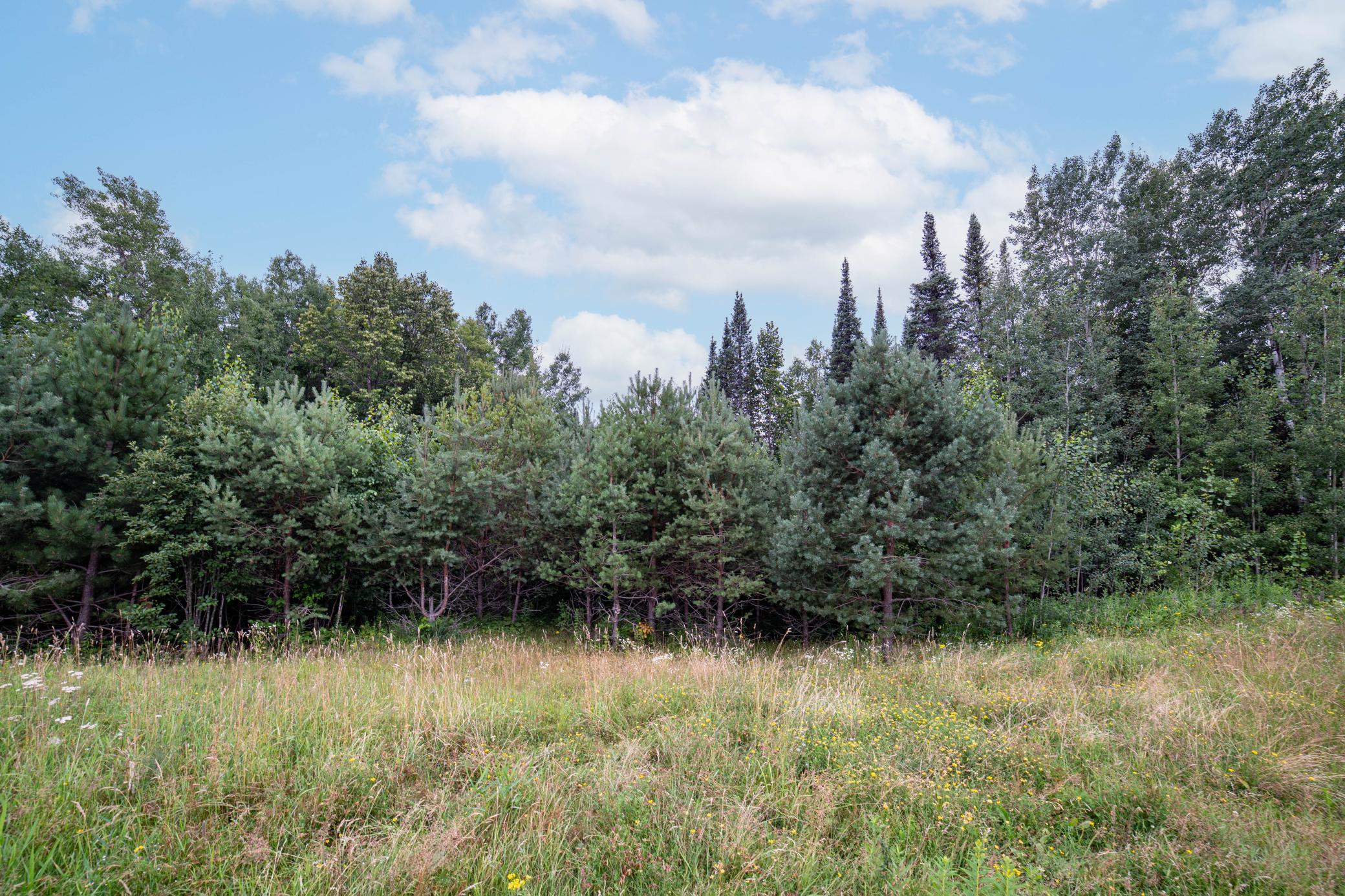 45xx - Lot B2 Norway Pines Pl Property Photo 9