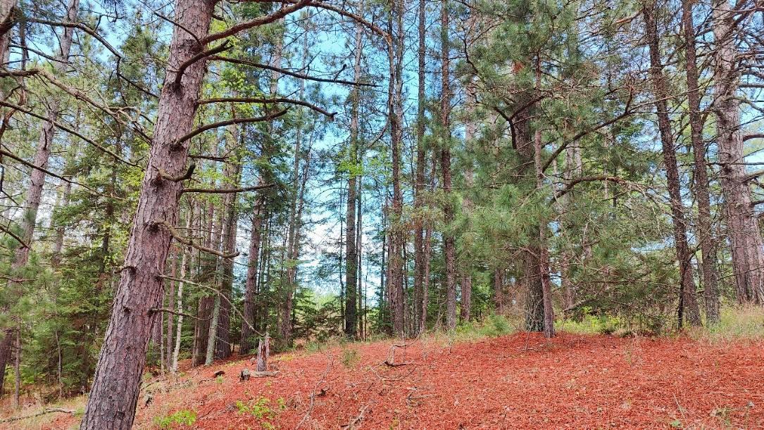 80064 Osprey Pass Property Photo 1
