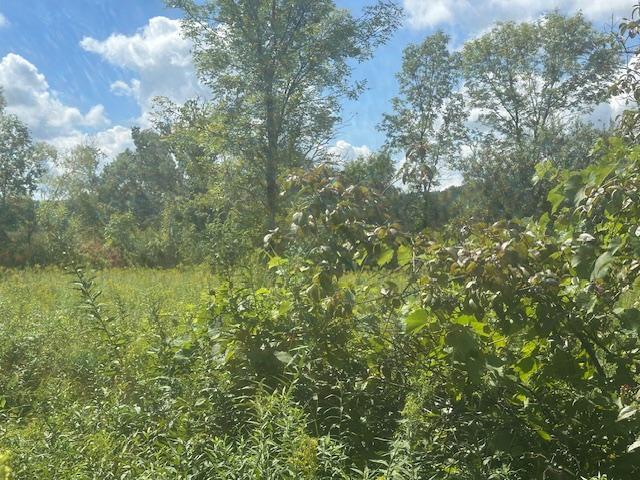 26596 Drew Avenue Property Photo 3