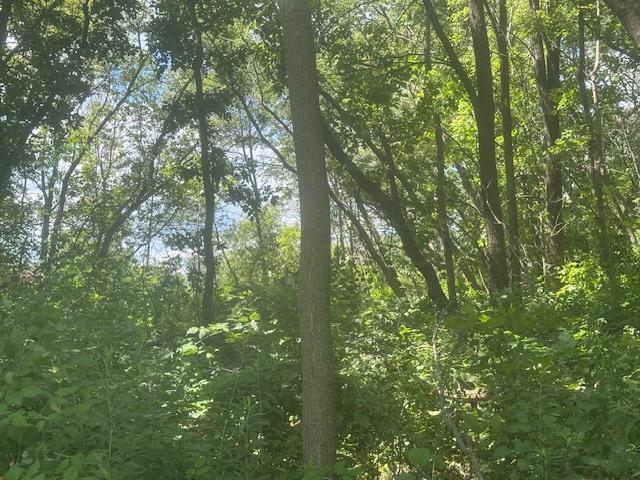 26596 Drew Avenue Property Photo 5