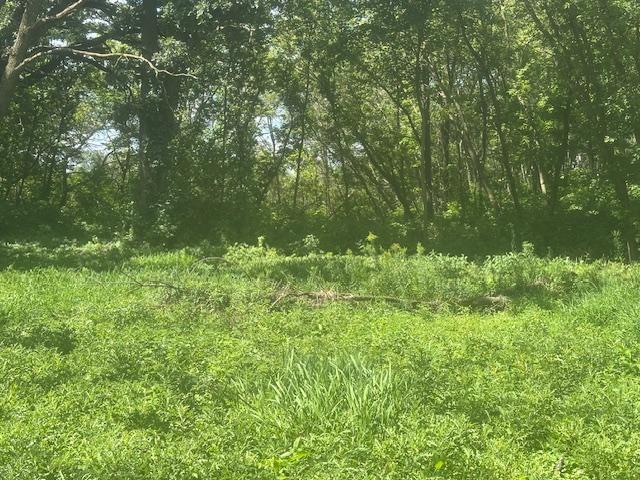 26596 Drew Avenue Property Photo 6