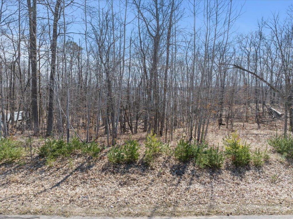 22311 Shadow Point Property Photo 11