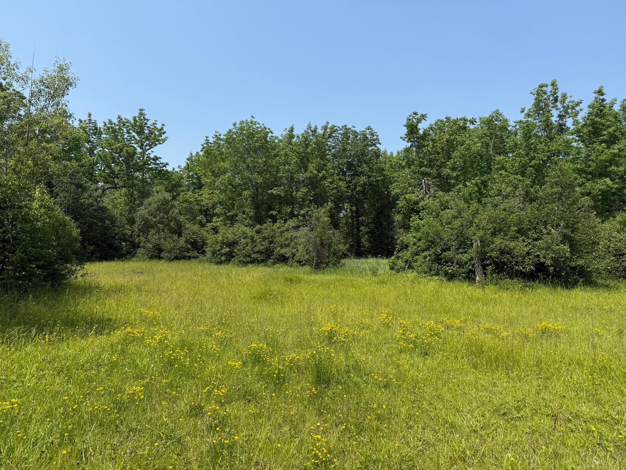 3437 Blueberry Hill Rd. Property Photo 61