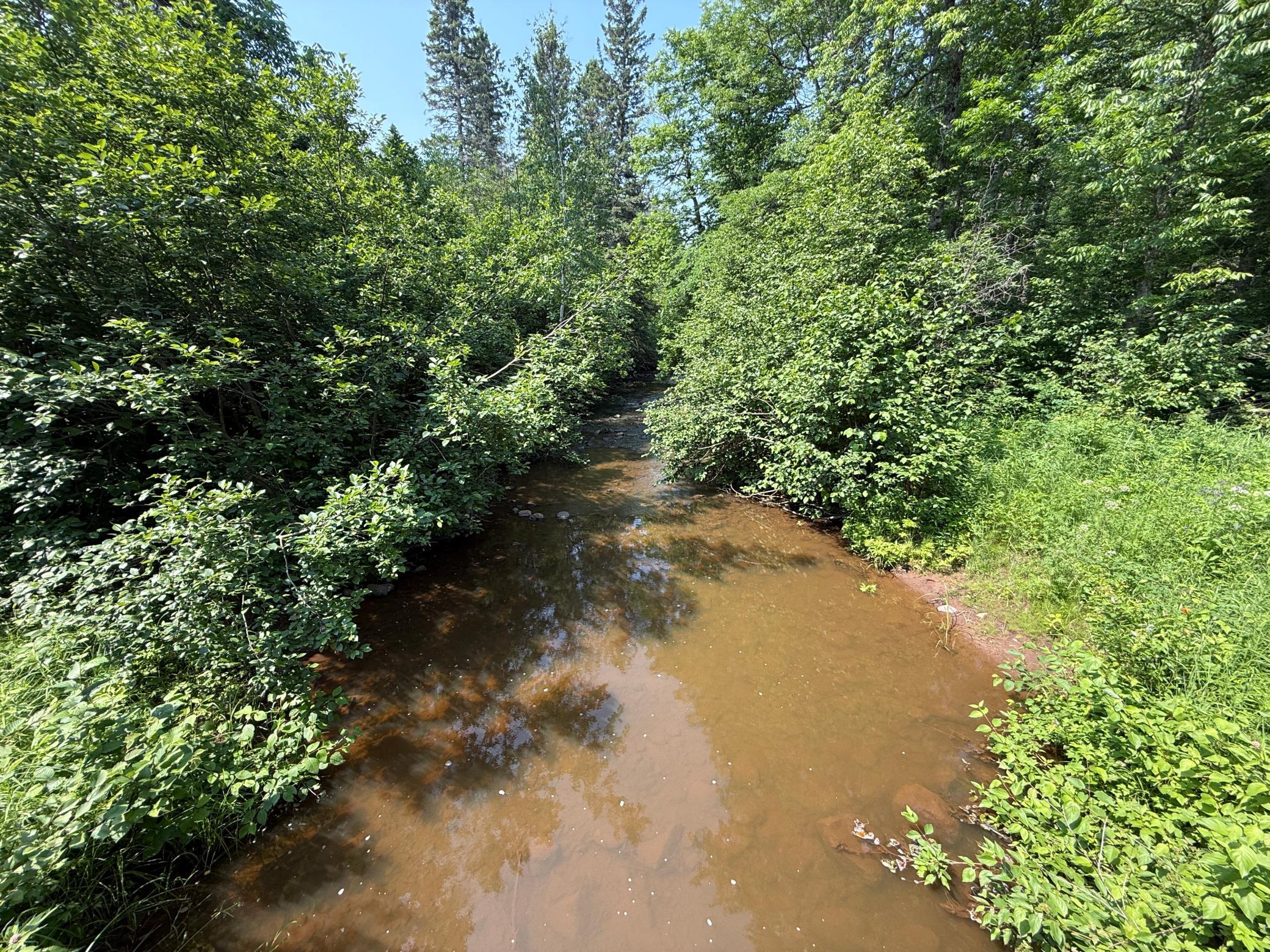 3437 Blueberry Hill Rd. Property Photo 62