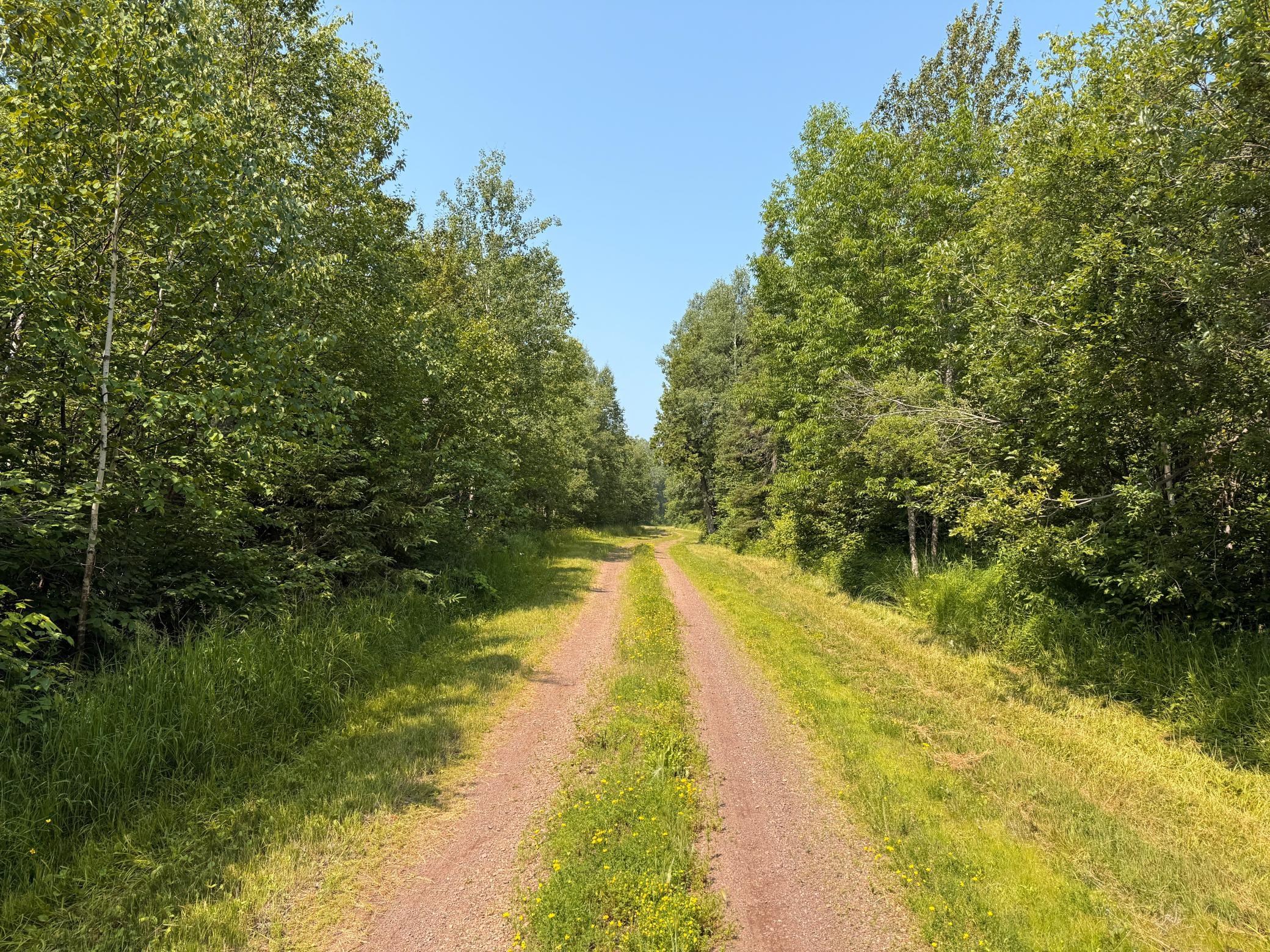 3437 Blueberry Hill Rd. Property Photo 65