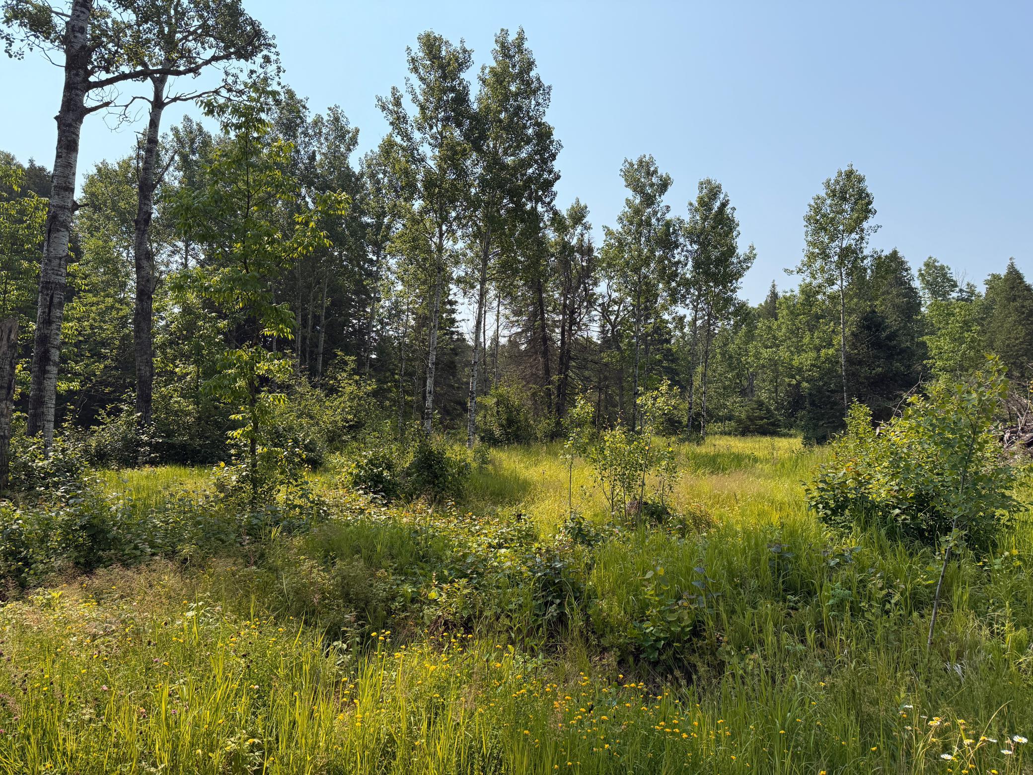 3437 Blueberry Hill Rd. Property Photo 66