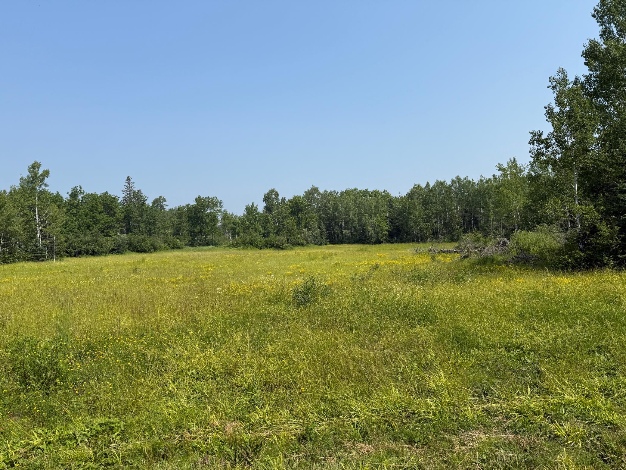 3437 Blueberry Hill Rd. Property Photo 67