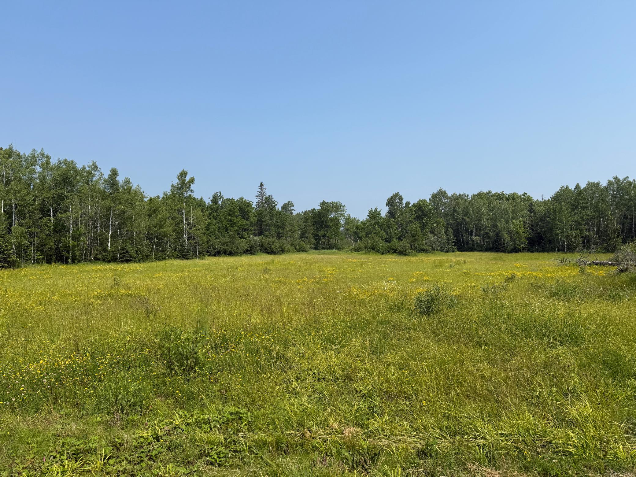 3437 Blueberry Hill Rd. Property Photo 68