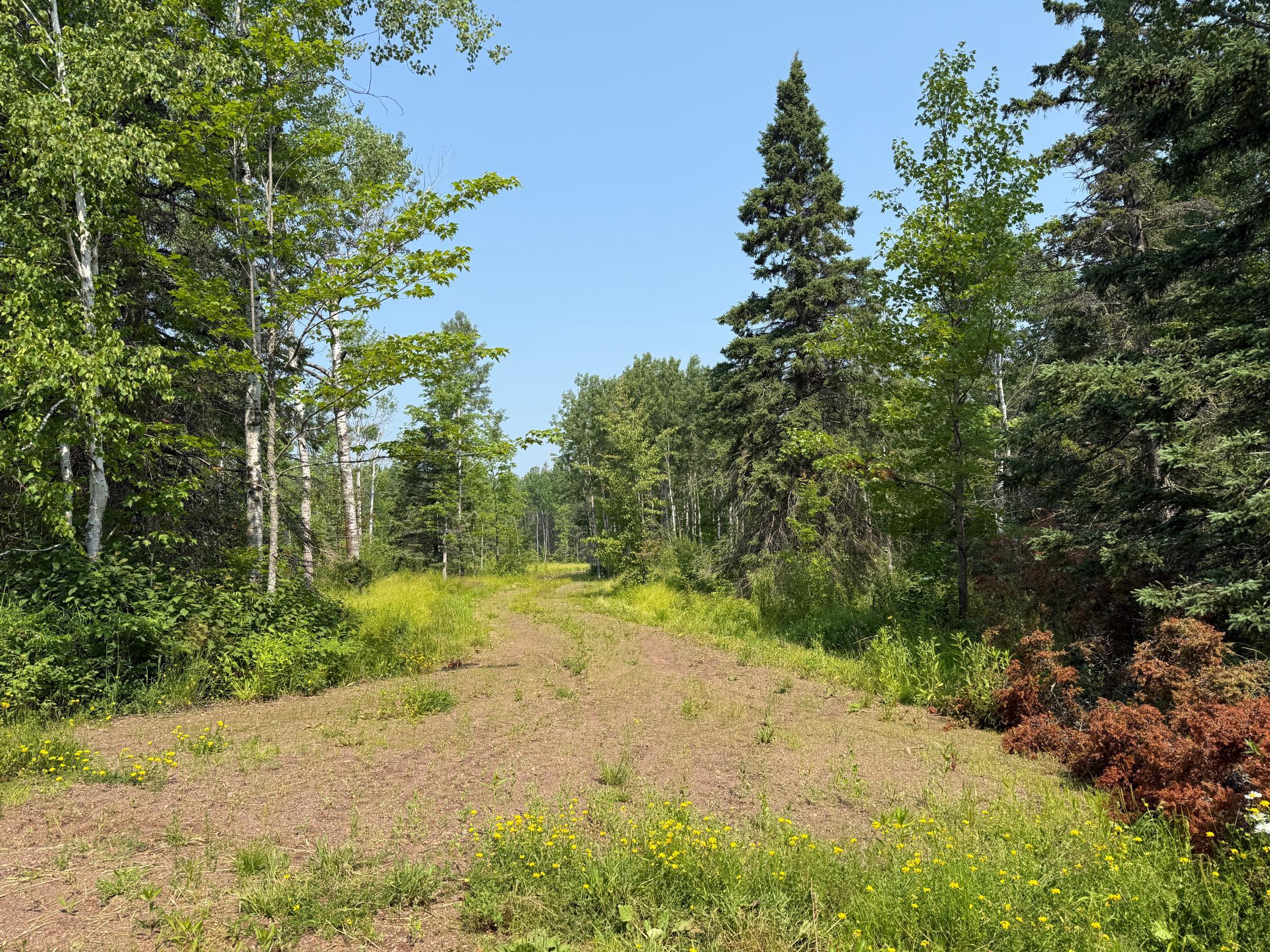 3437 Blueberry Hill Rd. Property Photo 69