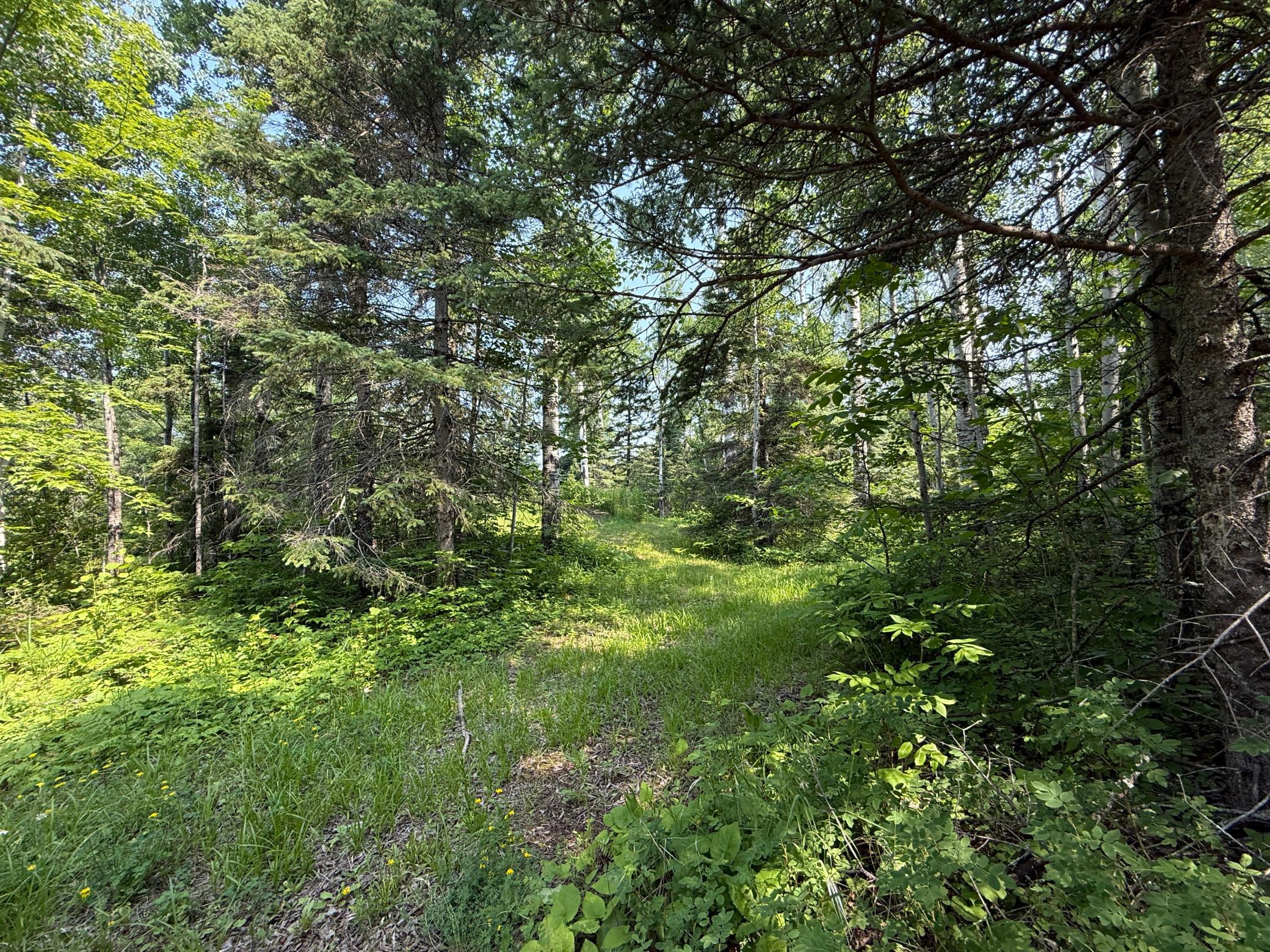 3437 Blueberry Hill Rd. Property Photo 71