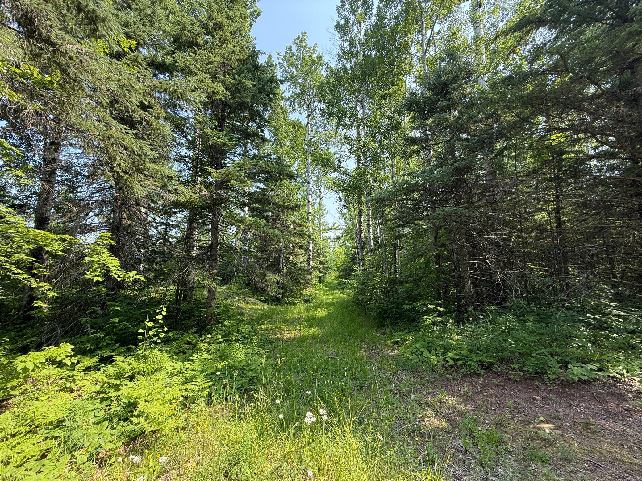 3437 Blueberry Hill Rd. Property Photo 72
