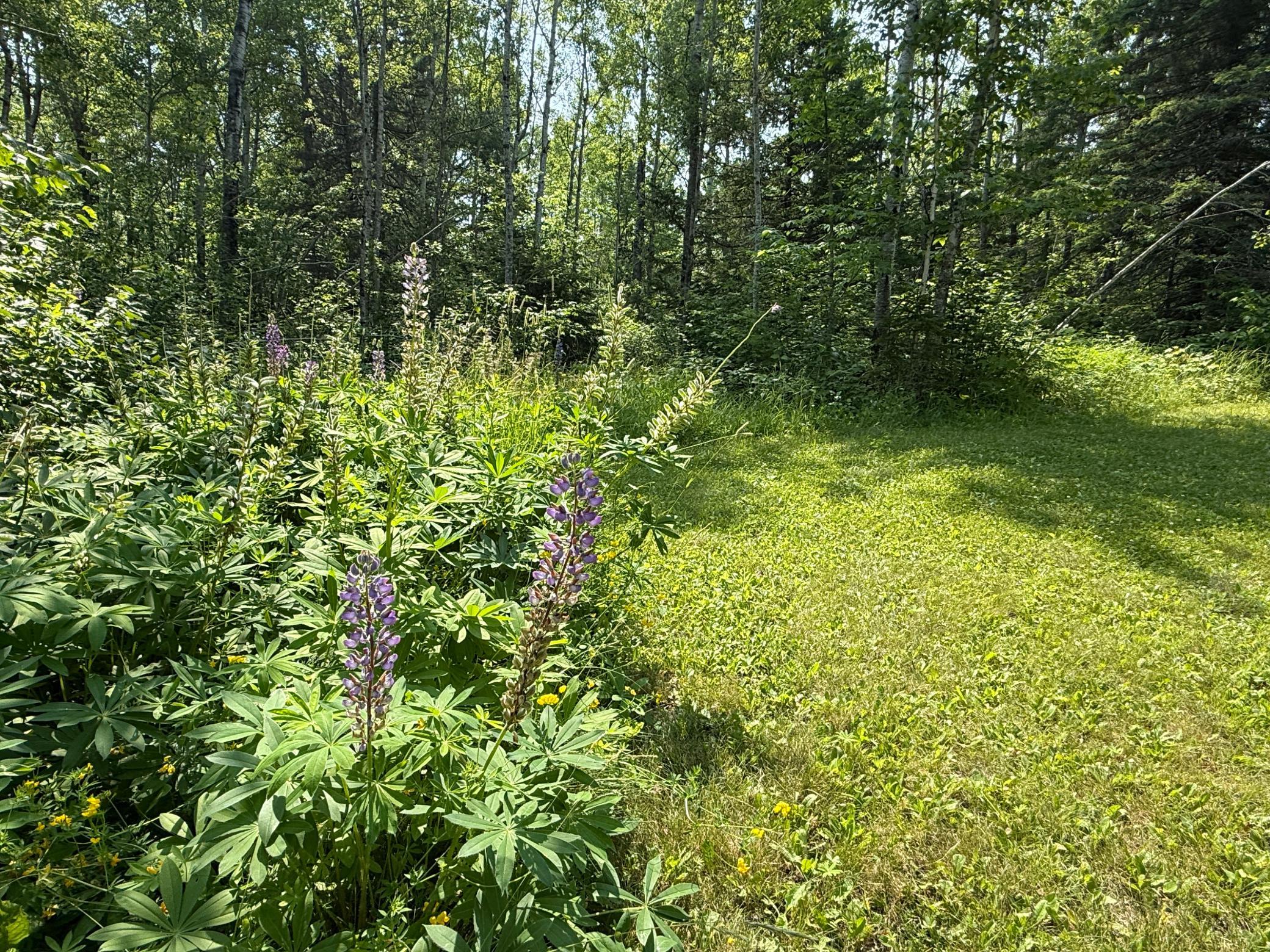 3437 Blueberry Hill Rd. Property Photo 73