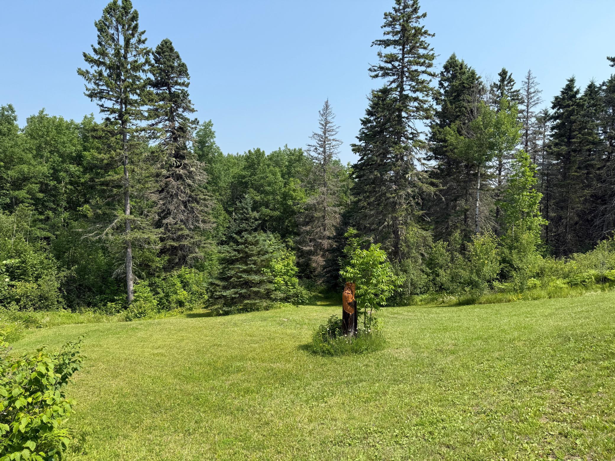 3437 Blueberry Hill Rd. Property Photo 74