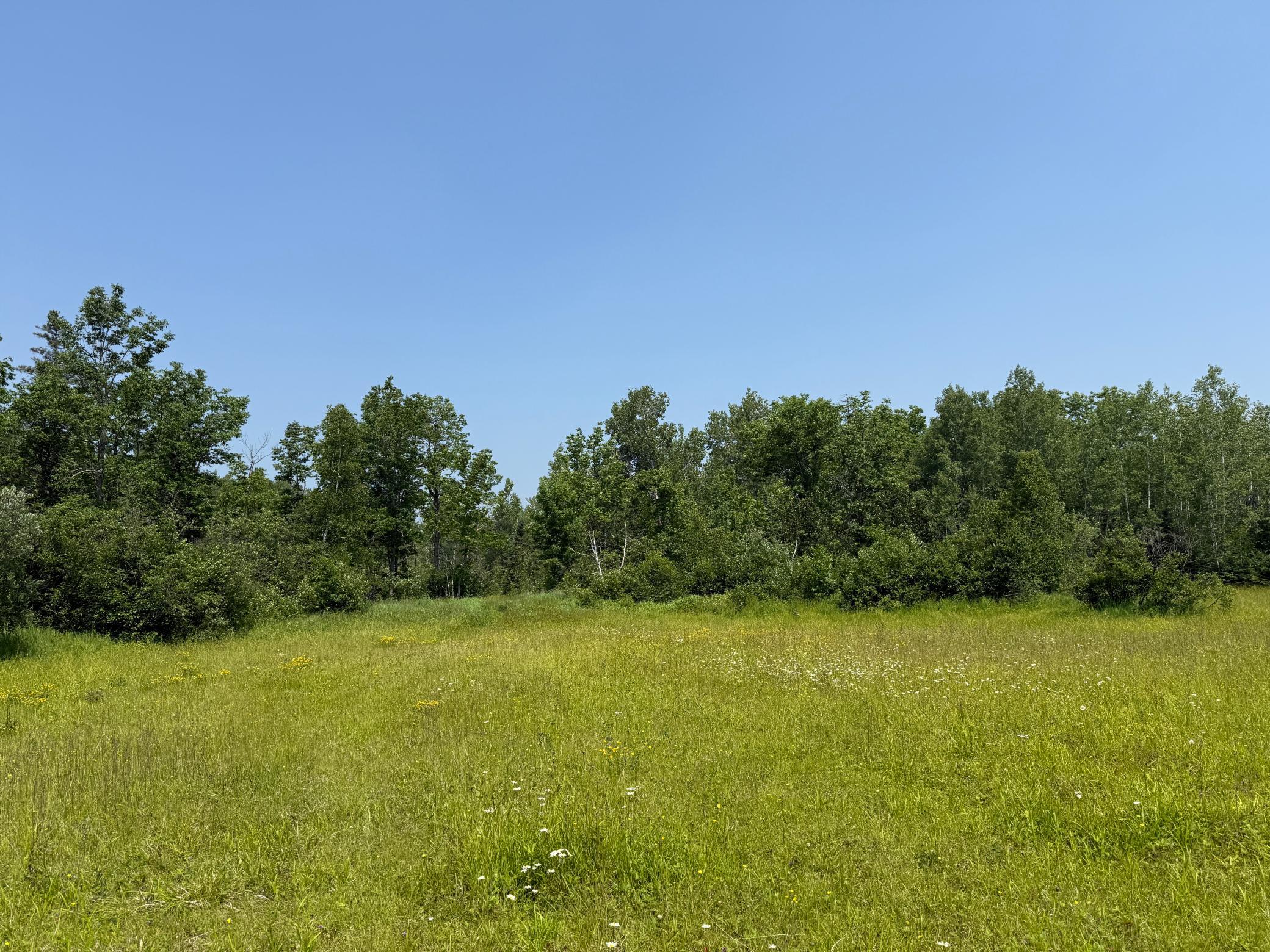 3437 Blueberry Hill Rd. Property Photo 76