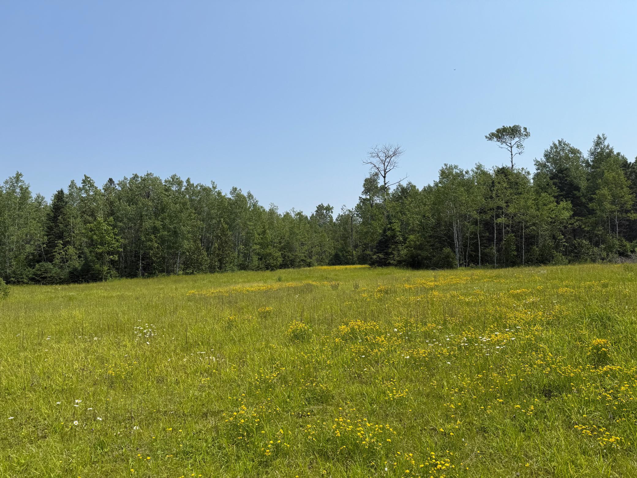 3437 Blueberry Hill Rd. Property Photo 77
