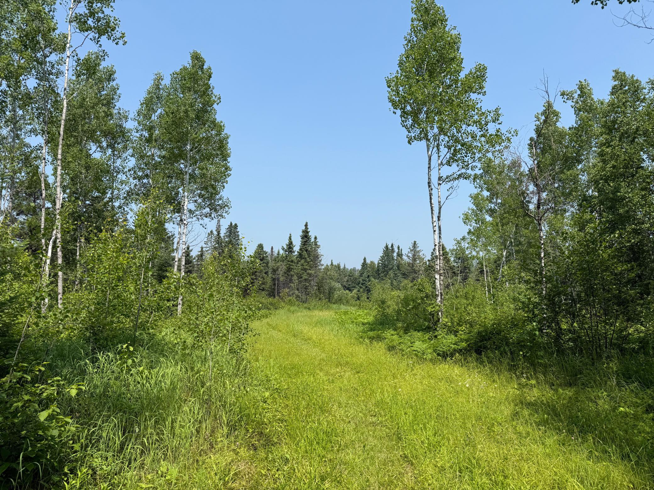 3437 Blueberry Hill Rd. Property Photo 80
