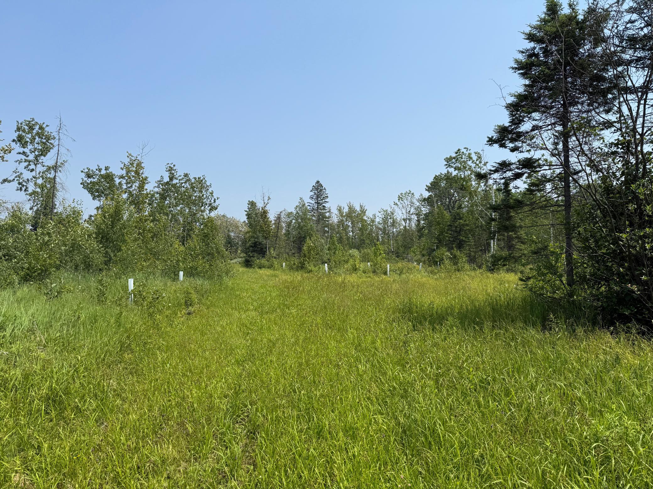 3437 Blueberry Hill Rd. Property Photo 81