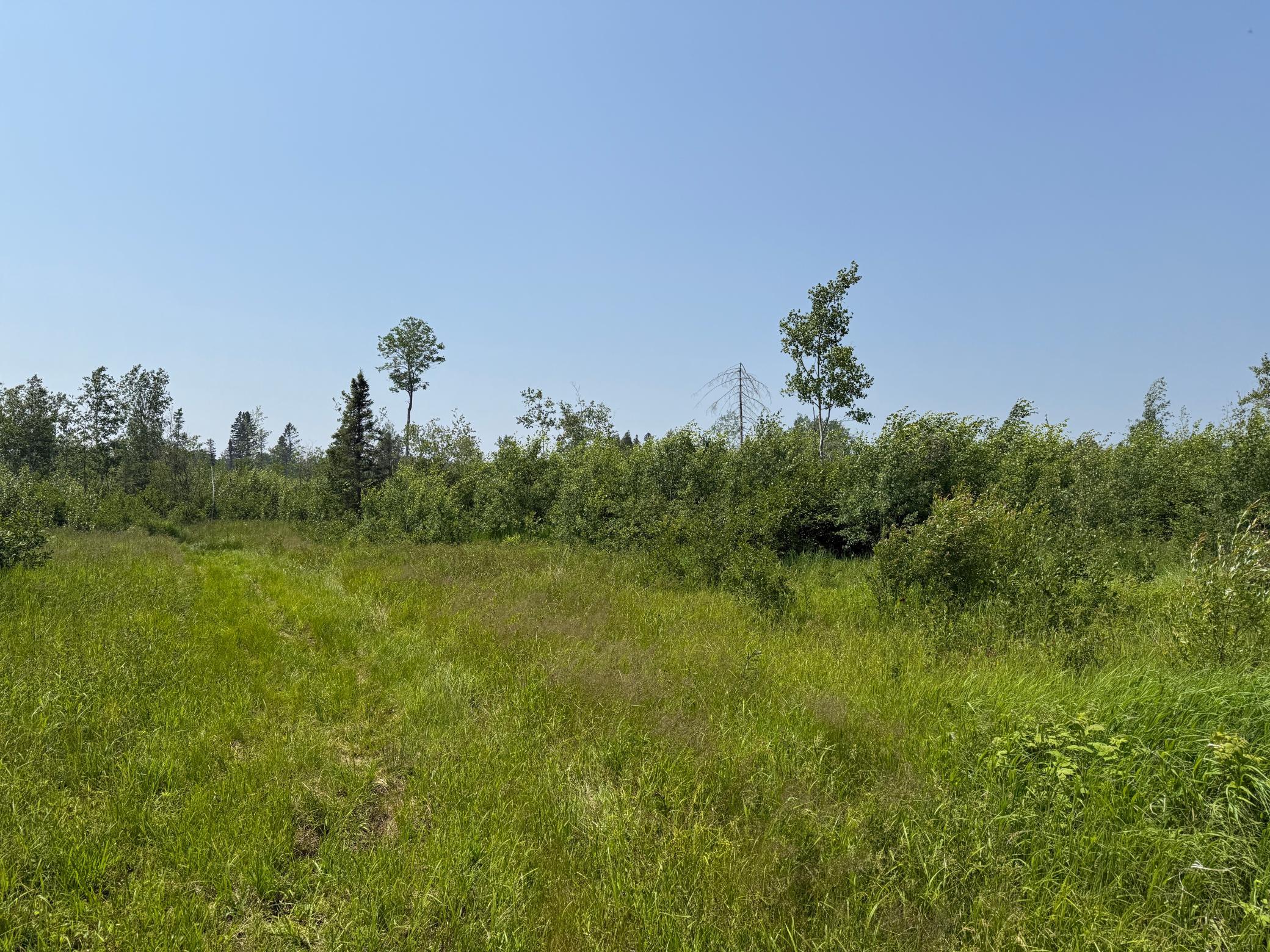 3437 Blueberry Hill Rd. Property Photo 82