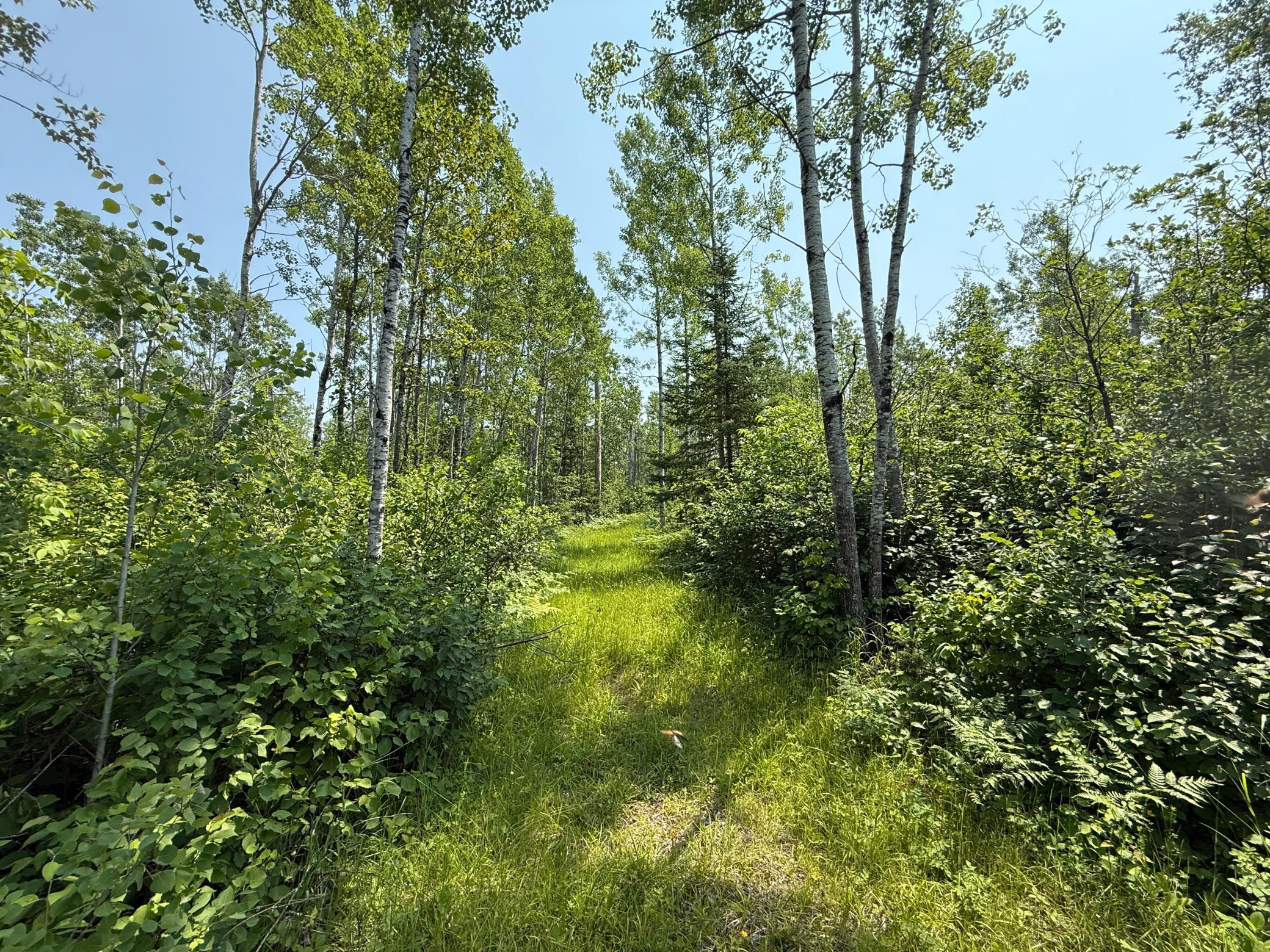 3437 Blueberry Hill Rd. Property Photo 83