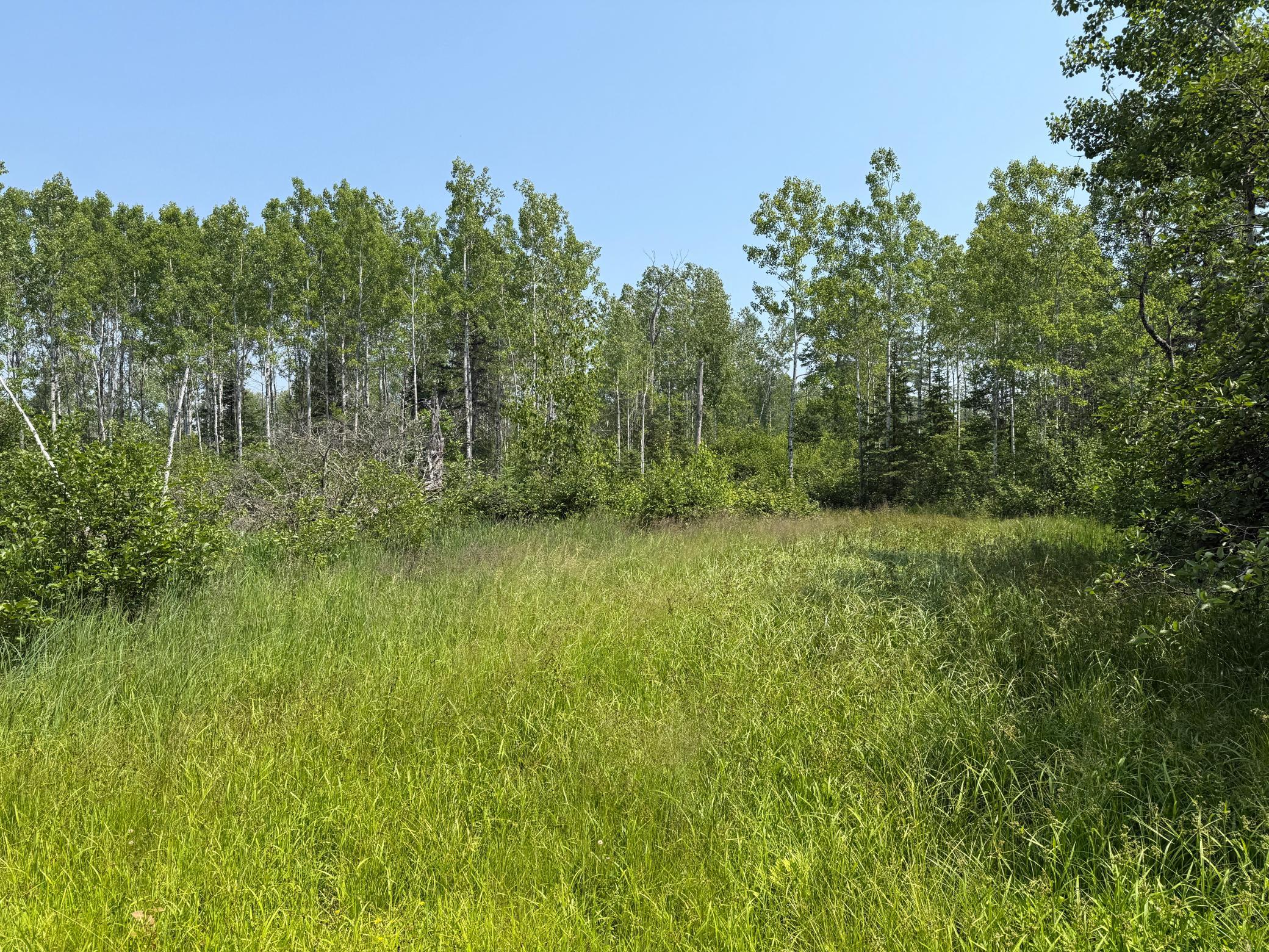 3437 Blueberry Hill Rd. Property Photo 87
