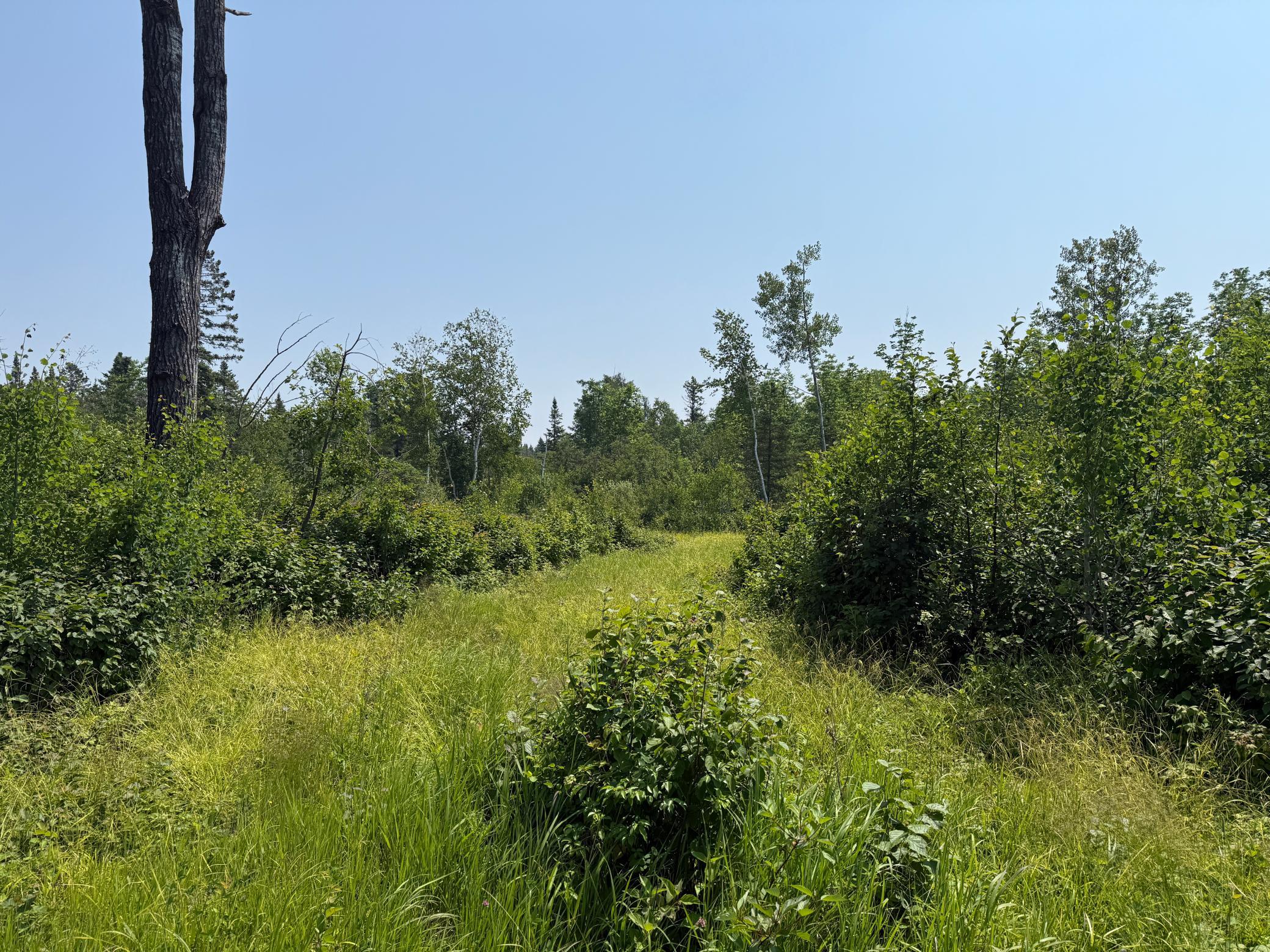 3437 Blueberry Hill Rd. Property Photo 89