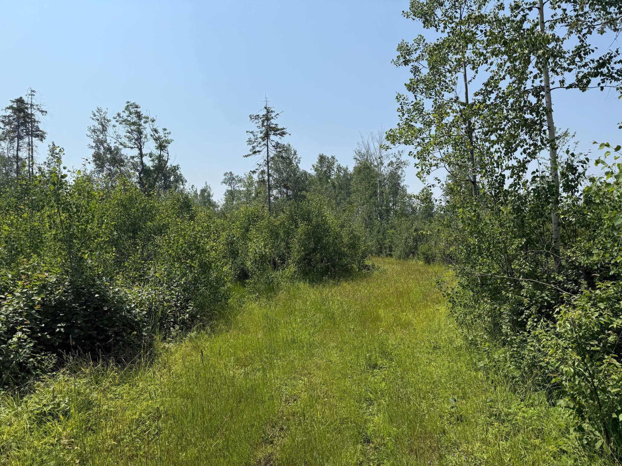 3437 Blueberry Hill Rd. Property Photo 90