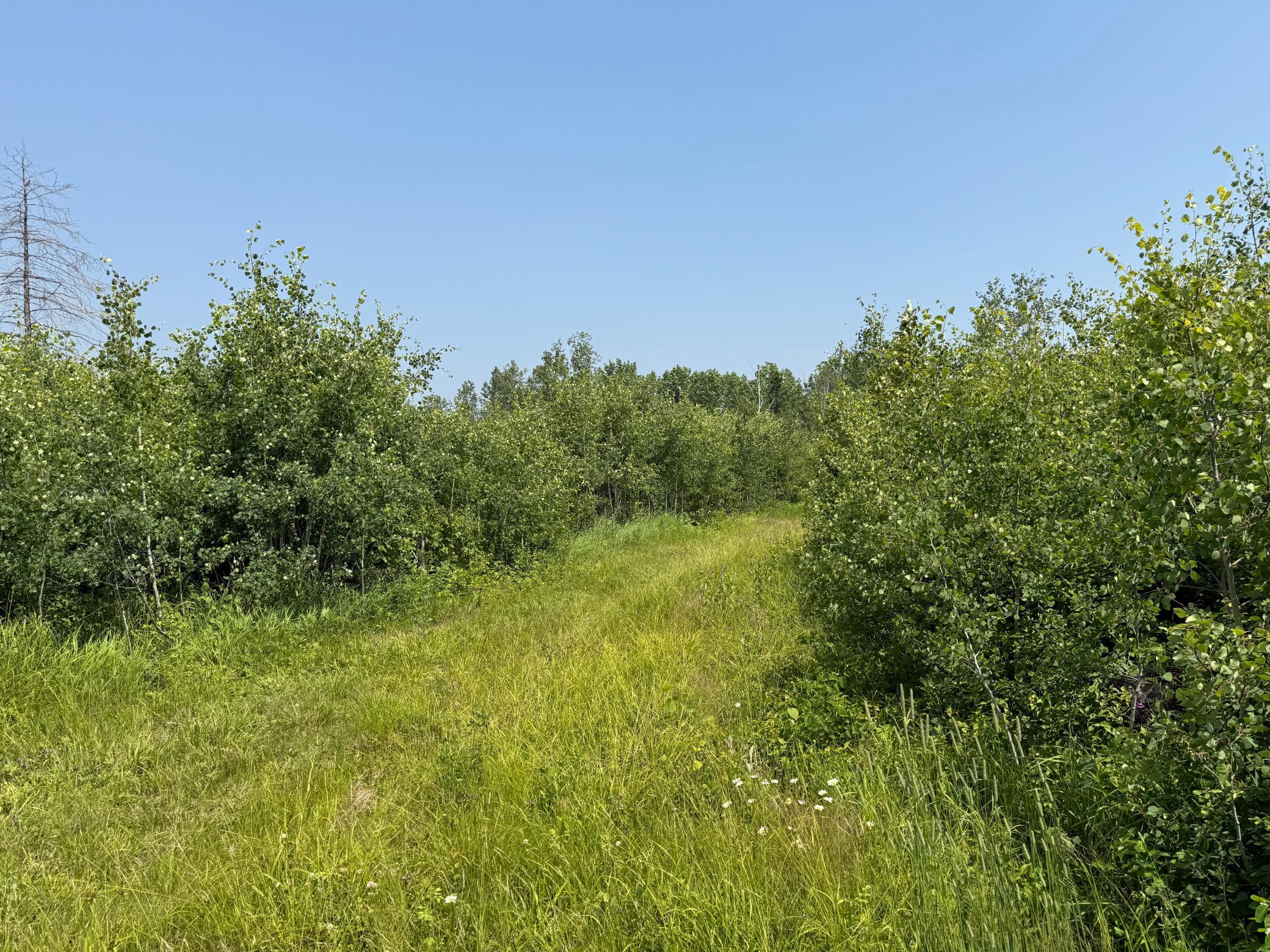 3437 Blueberry Hill Rd. Property Photo 94