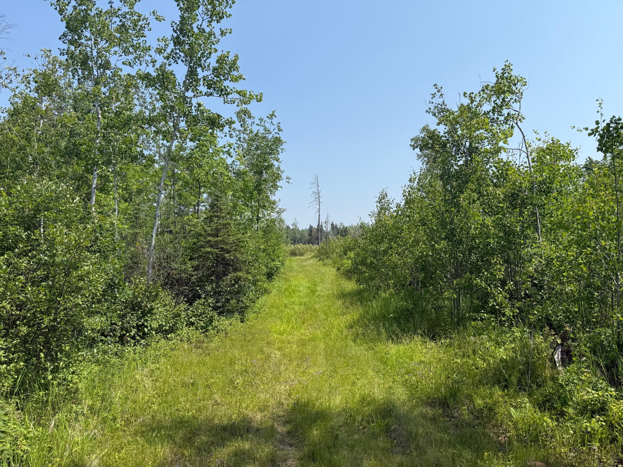 3437 Blueberry Hill Rd. Property Photo 96