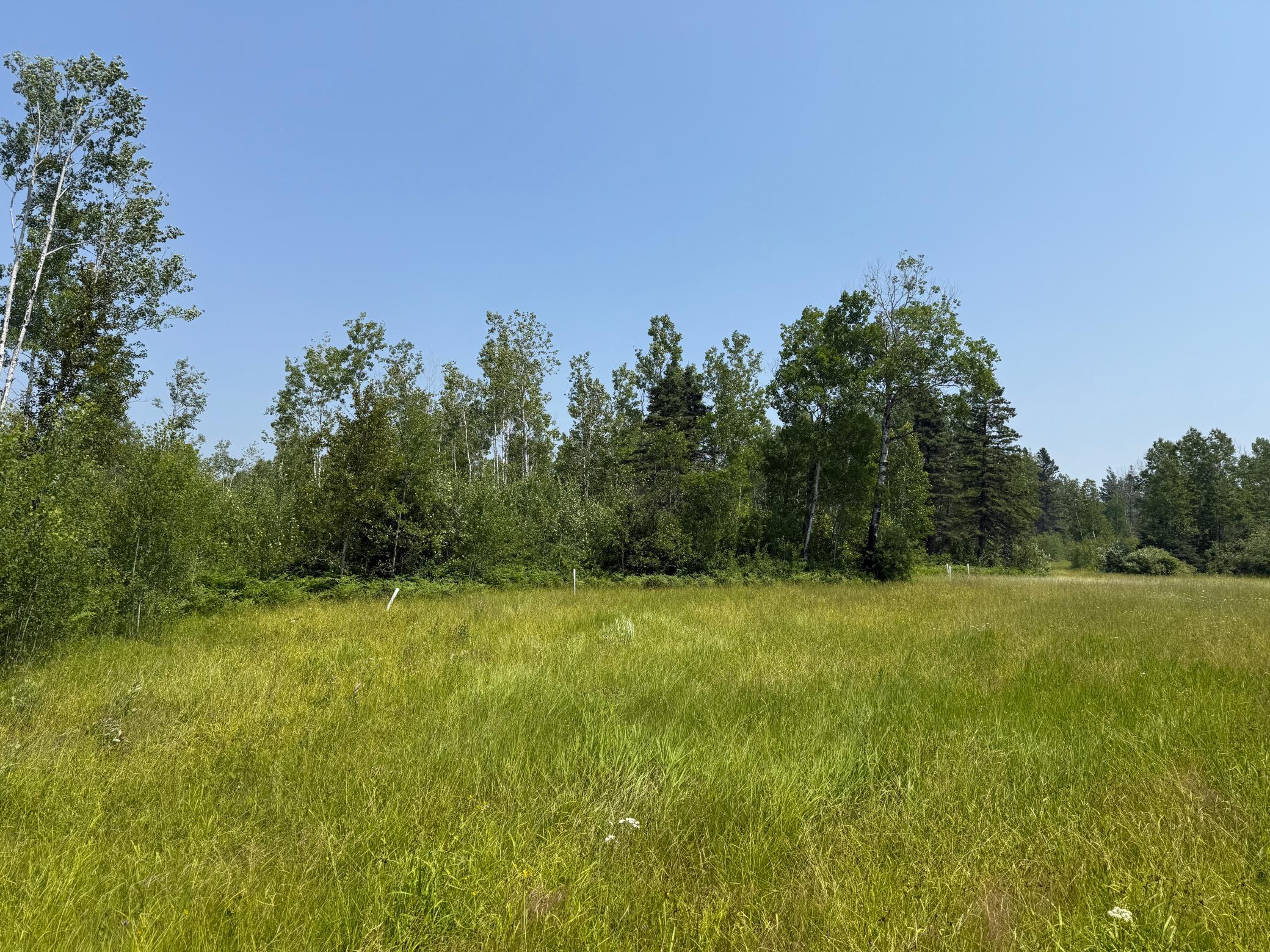 3437 Blueberry Hill Rd. Property Photo 97