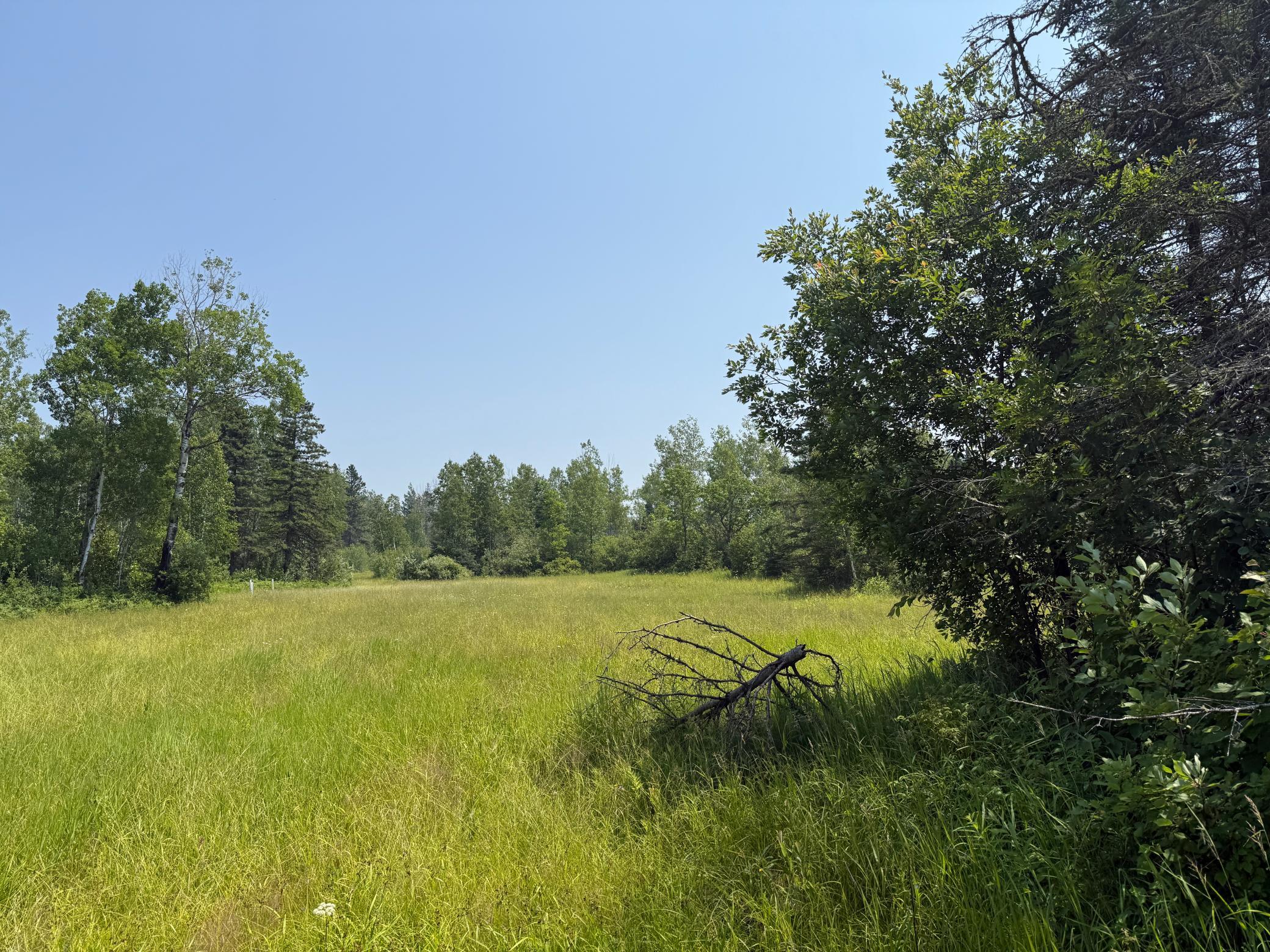 3437 Blueberry Hill Rd. Property Photo 98