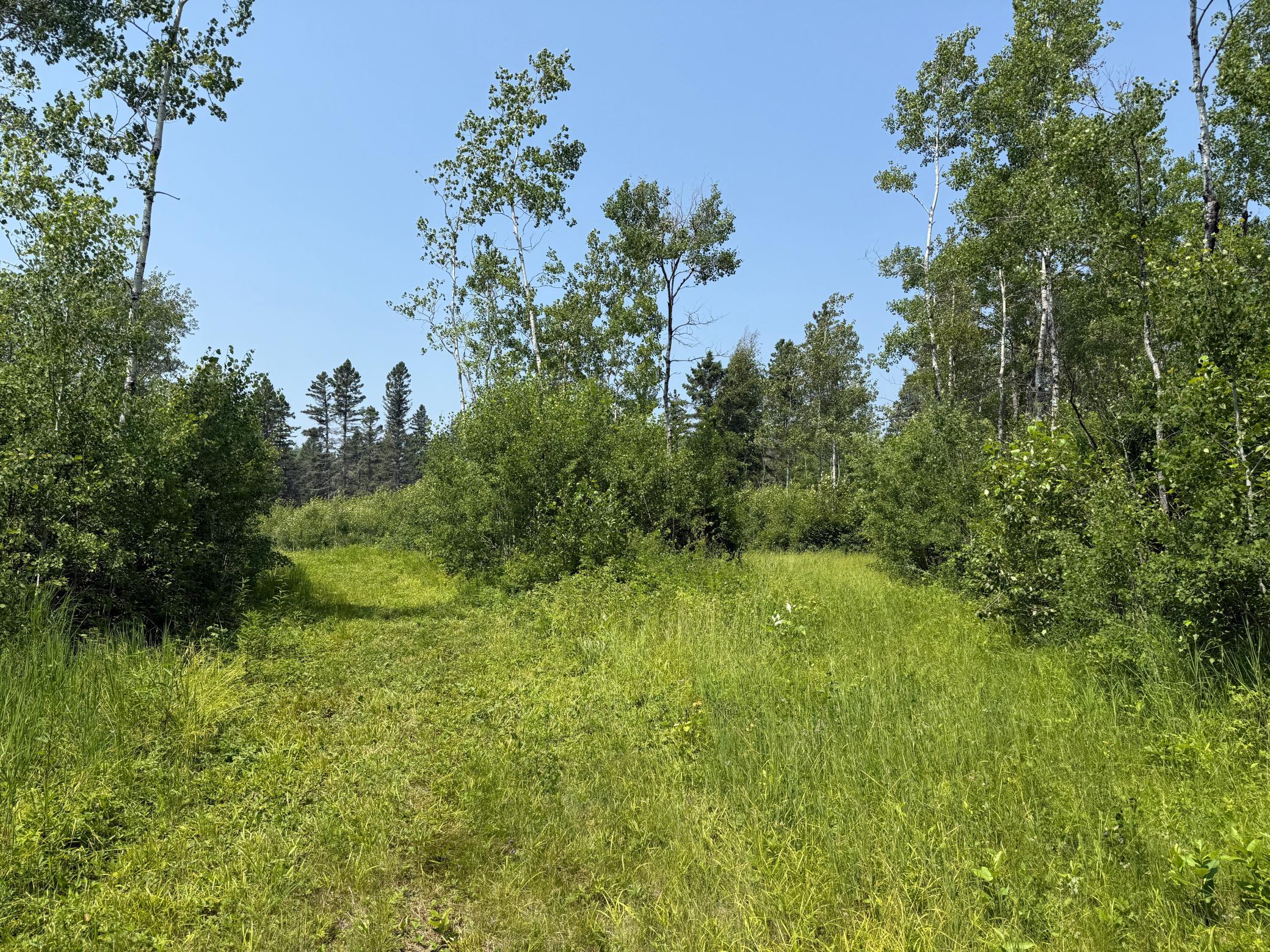 3437 Blueberry Hill Rd. Property Photo 99