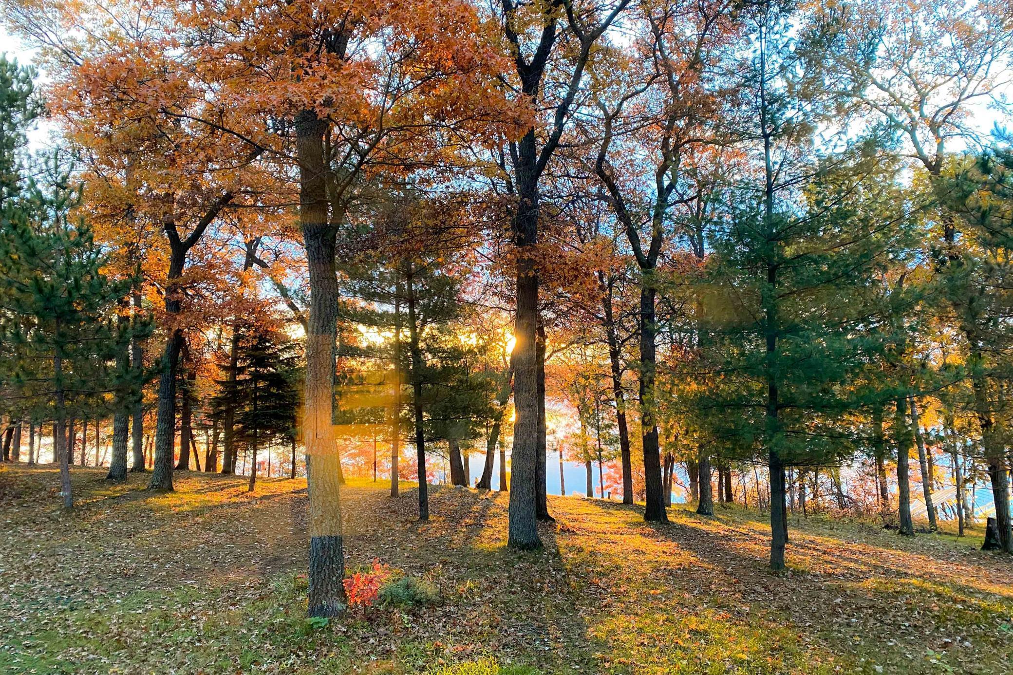 14788 Coyote Drive Property Photo 39