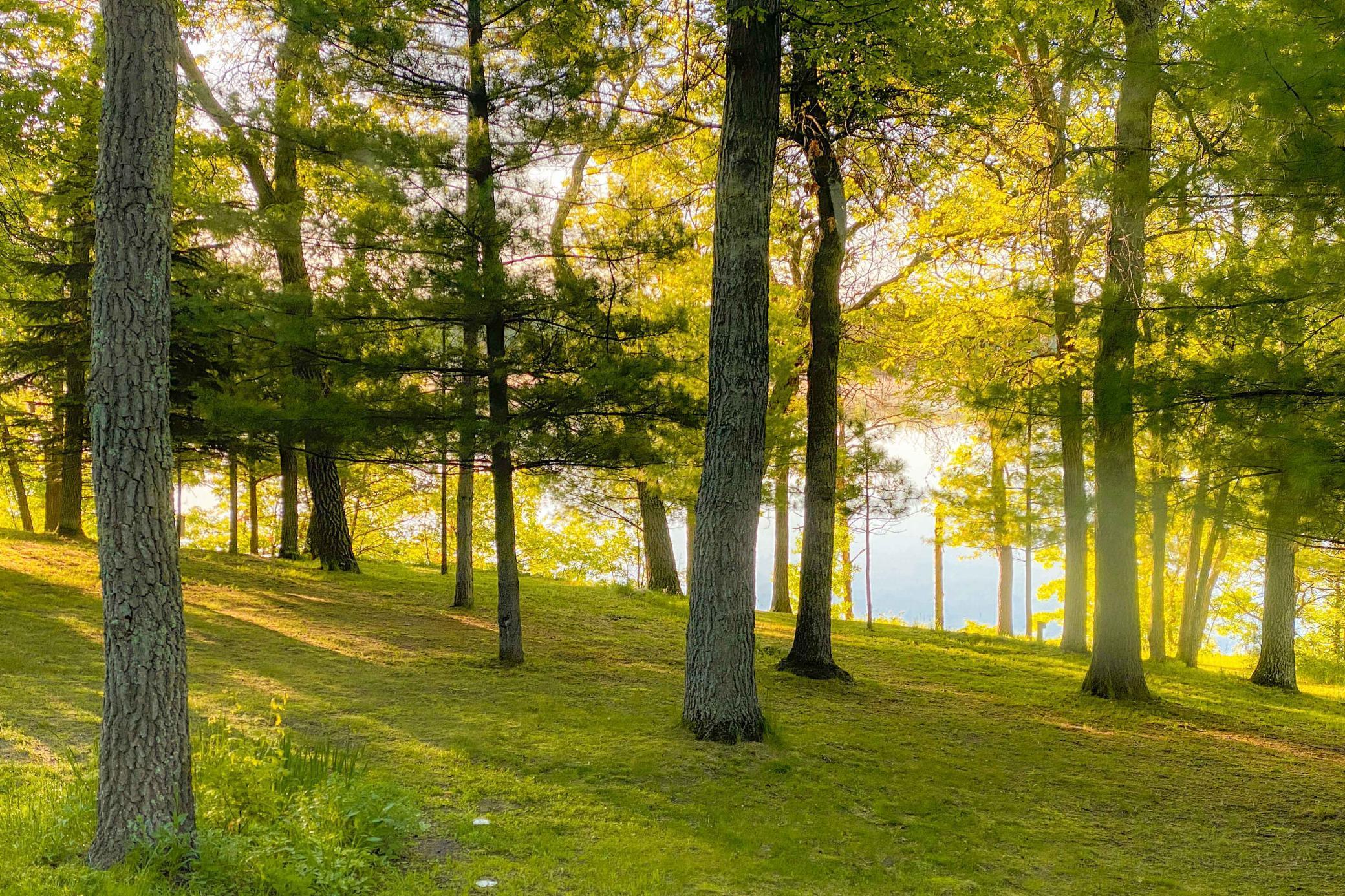 14788 Coyote Drive Property Photo 41