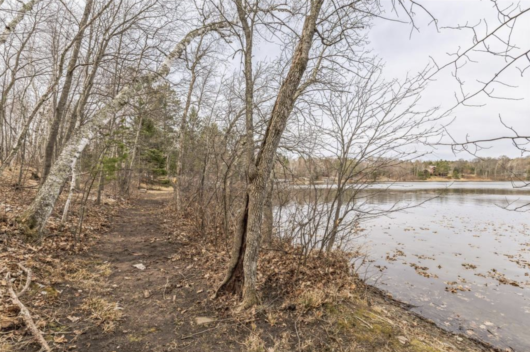 Xxxxx Birch Bay Lane Property Photo