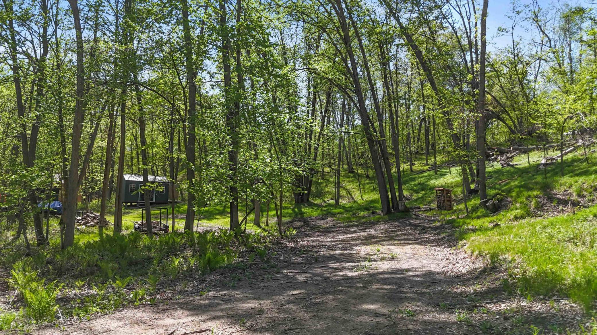 8713 Forest Cove Property Photo 13