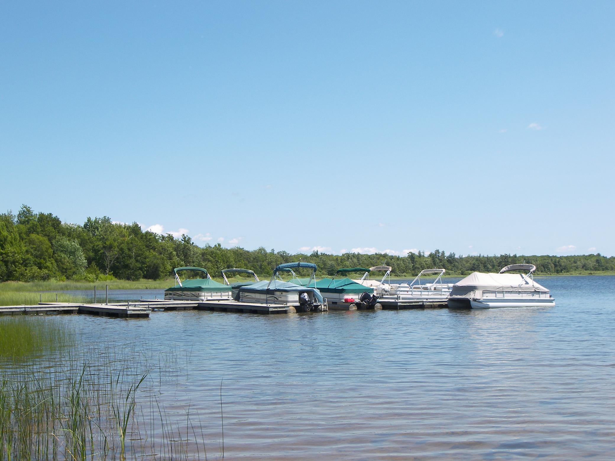 Xxx White Oak Dr (lot 304) Property Photo 10