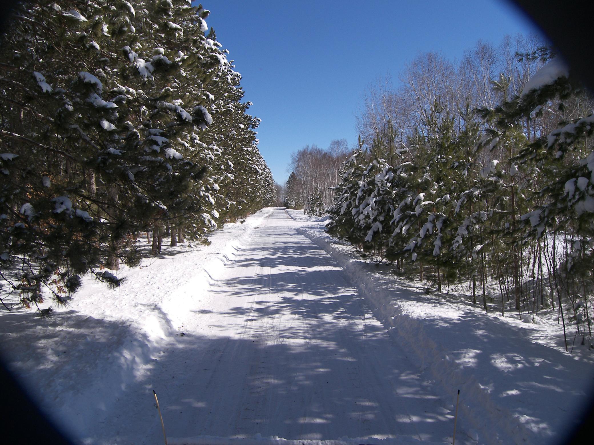 Xxx White Oak Dr (lot 304) Property Photo 20