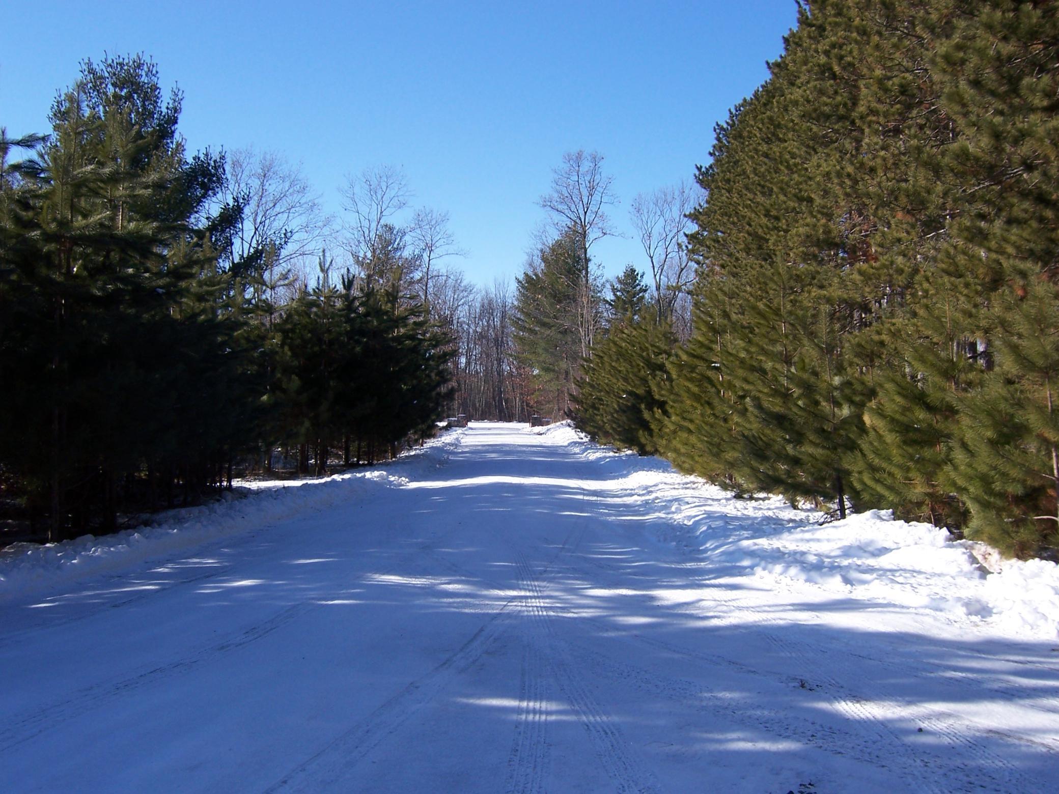 Xxx White Oak Dr (lot 304) Property Photo 22