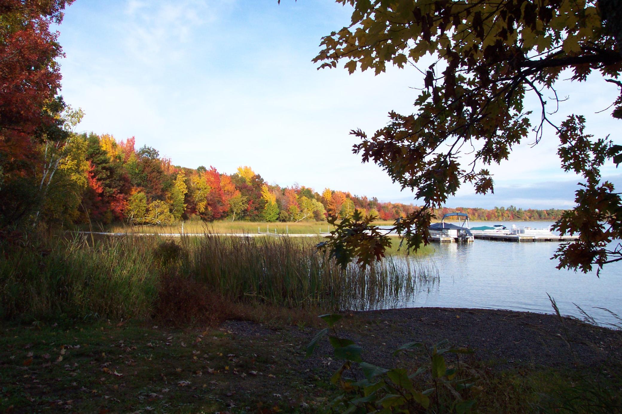 Xxx White Oak Dr (lot 309) Property Photo 9