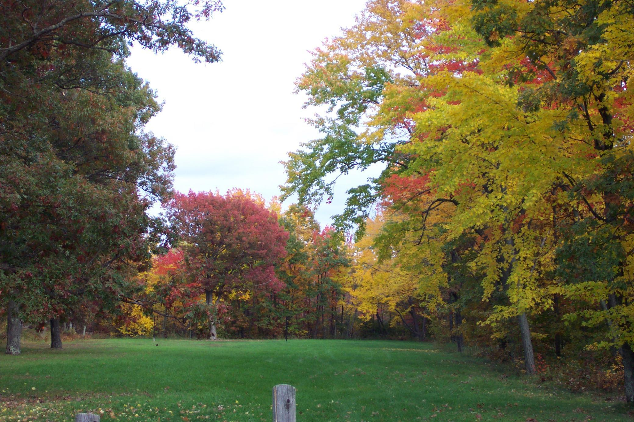 Xxx White Oak Dr (lot 309) Property Photo 13