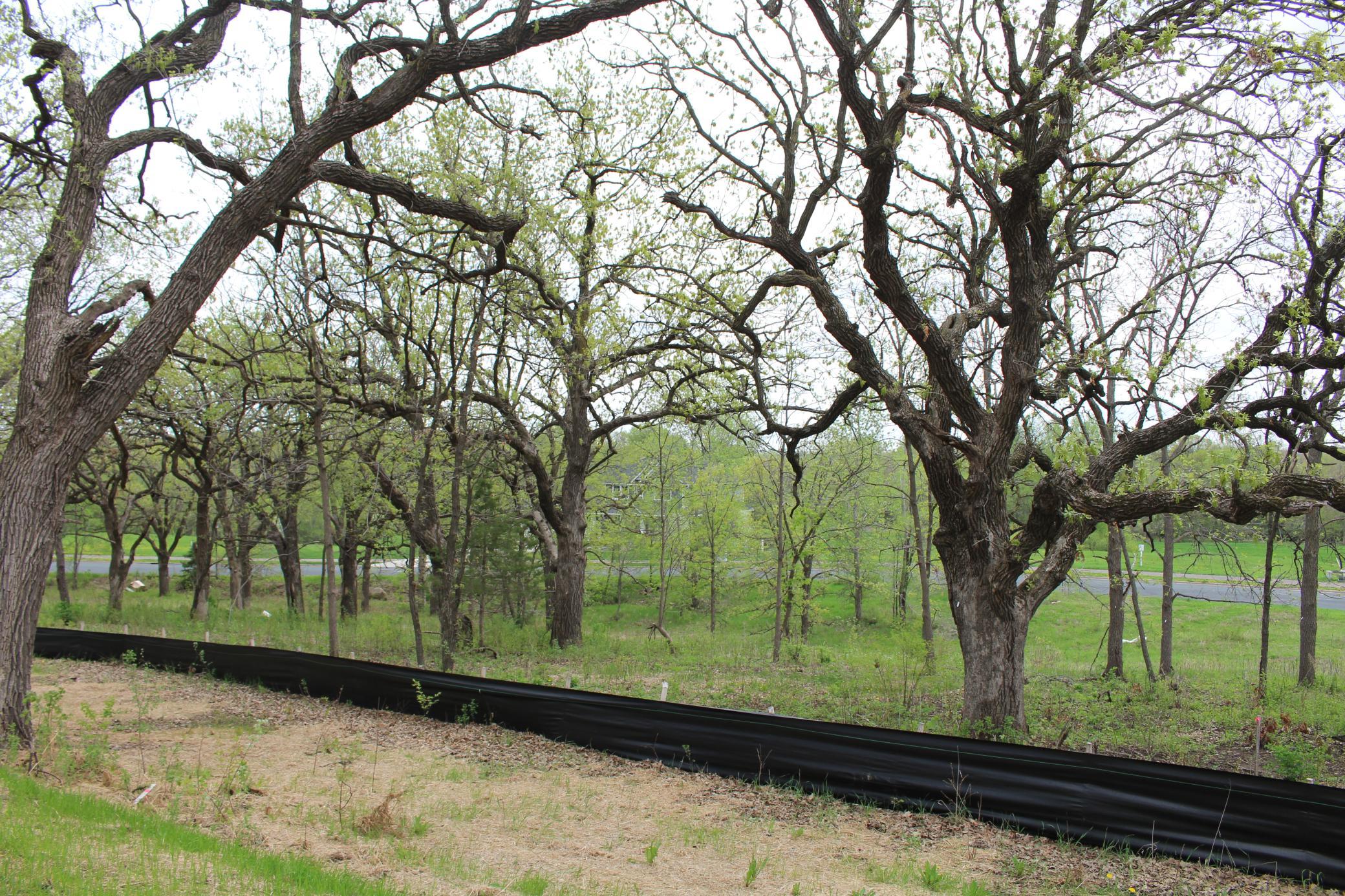 1730 River Shore Drive Property Photo 8