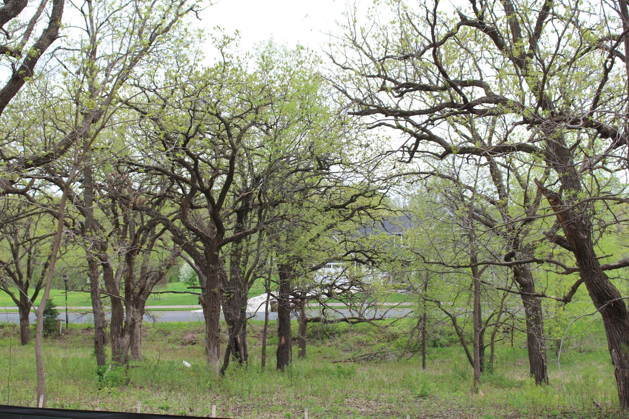 1730 River Shore Drive Property Photo 9