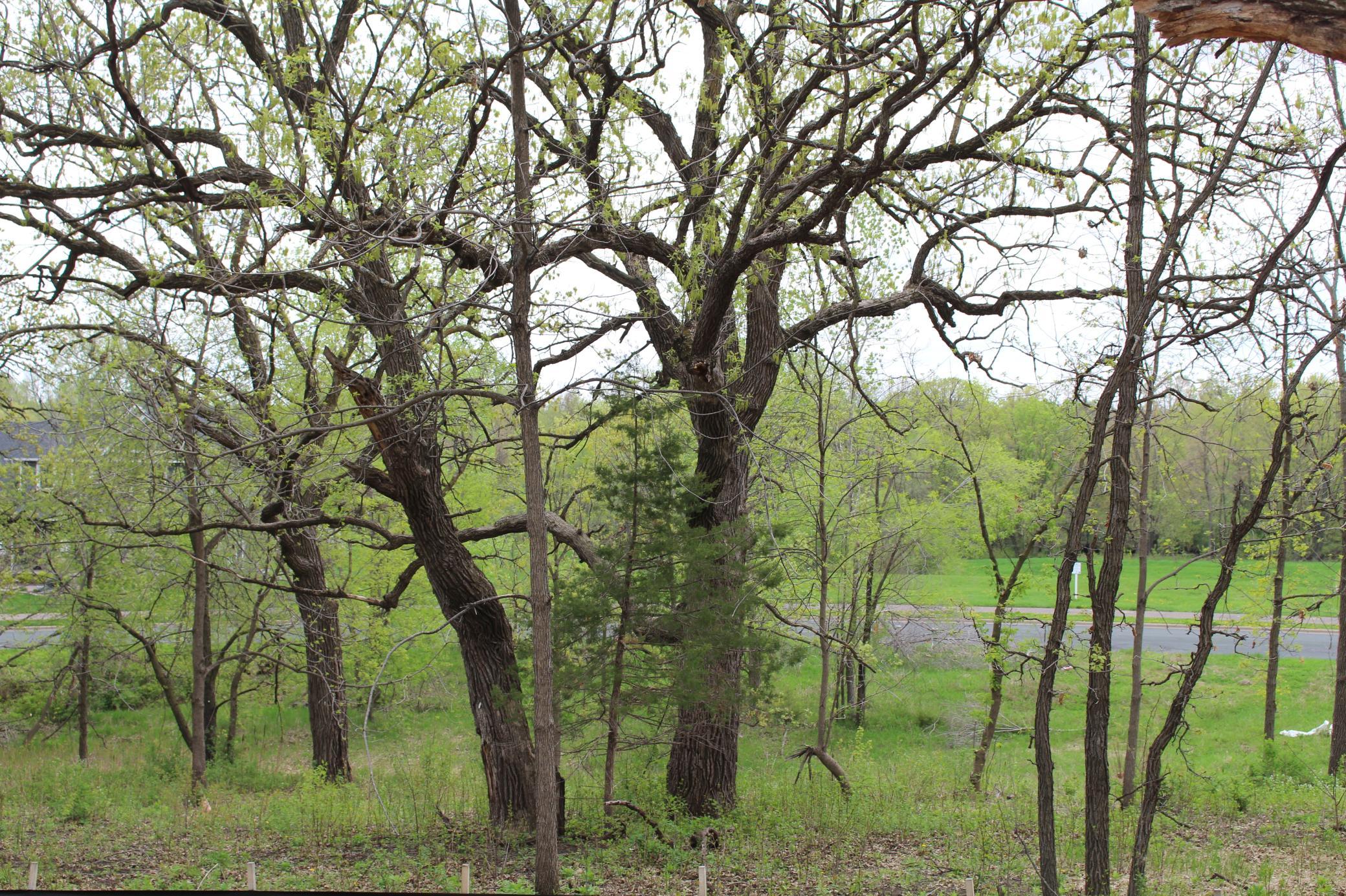 1730 River Shore Drive Property Photo 10