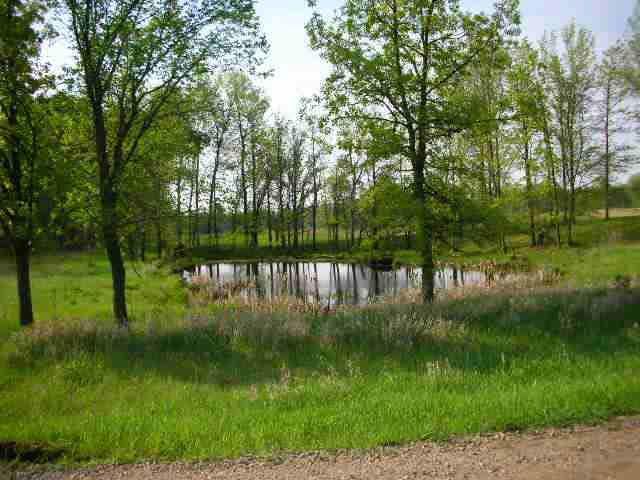29366 Meadow Circle Property Photo 1