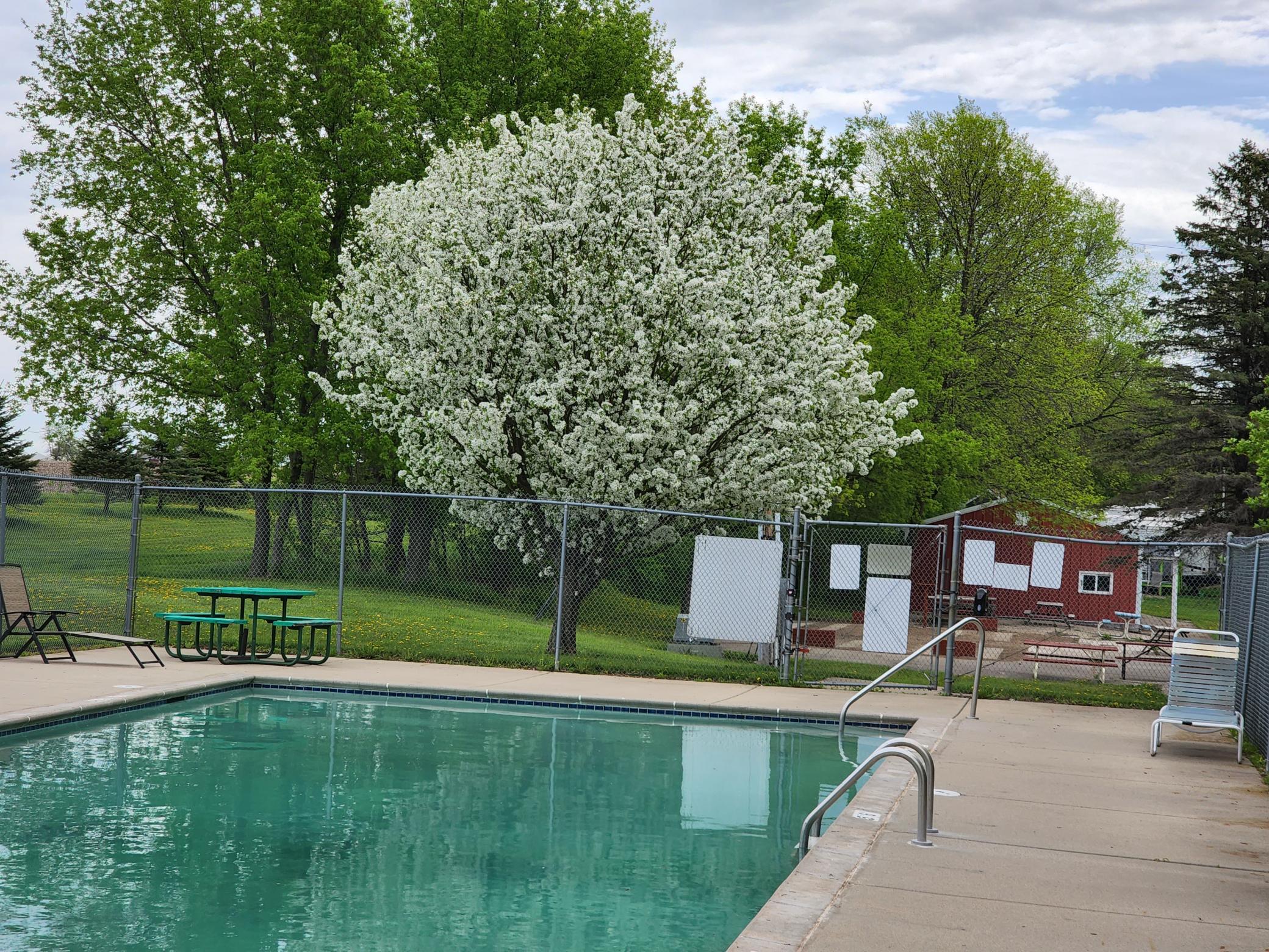 2945 County Highway 4 #345 Property Photo 14