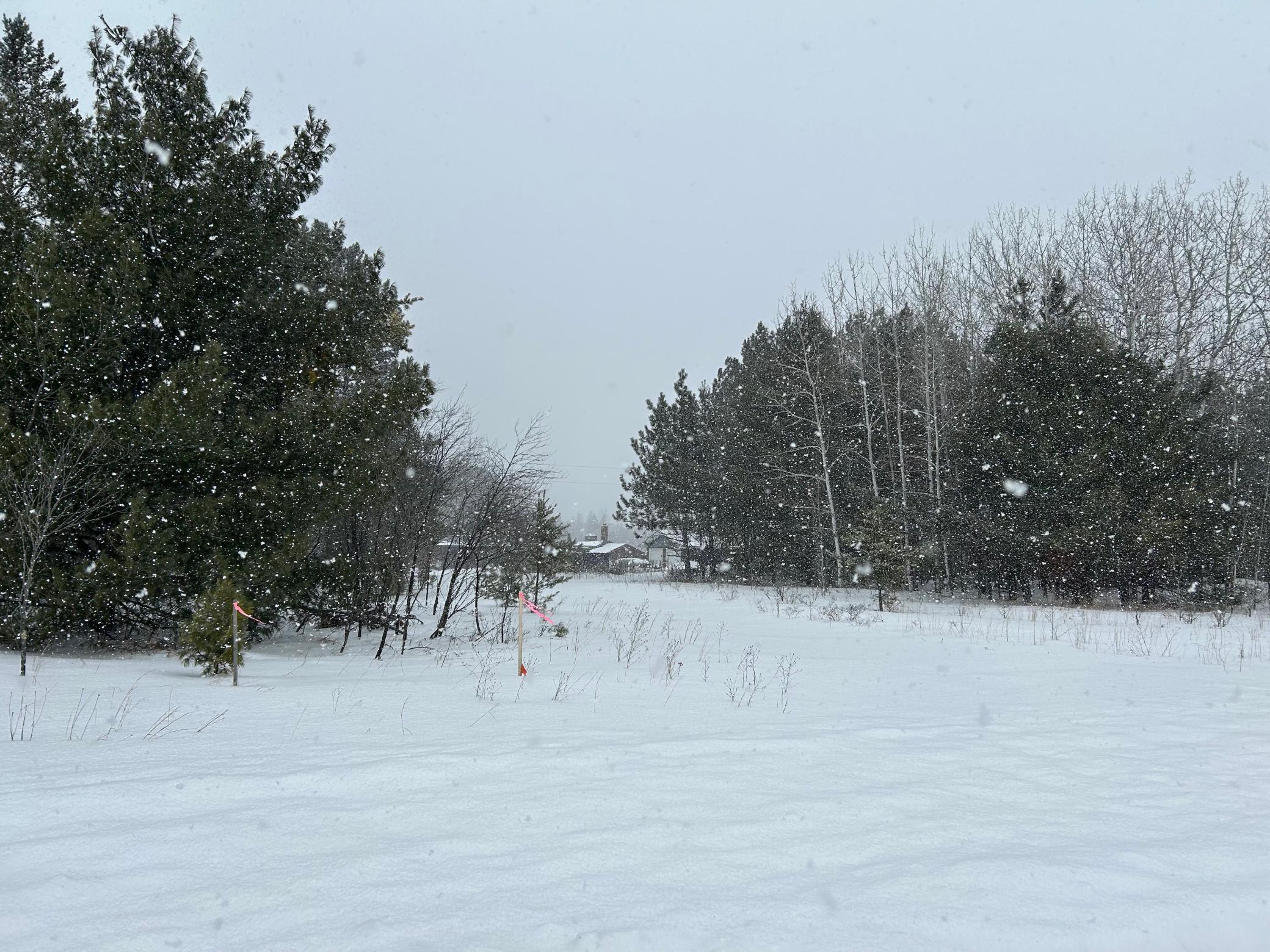 Lot 3 North Shore Drive Property Photo 5